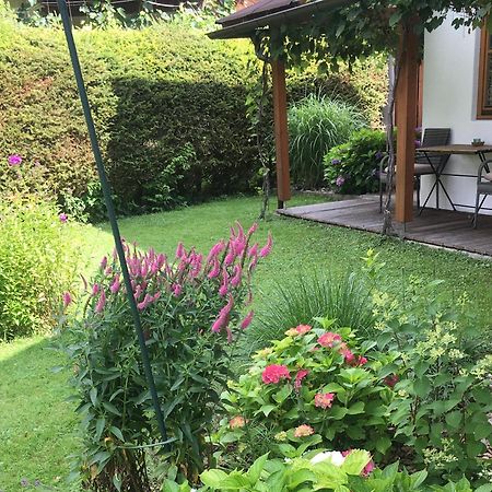 Apartment Oberdorf Breitenbach am Inn Екстер'єр фото